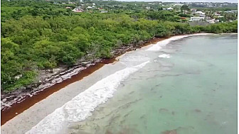 Vol au dessus des plages du Gosier. (Guadeloupe)